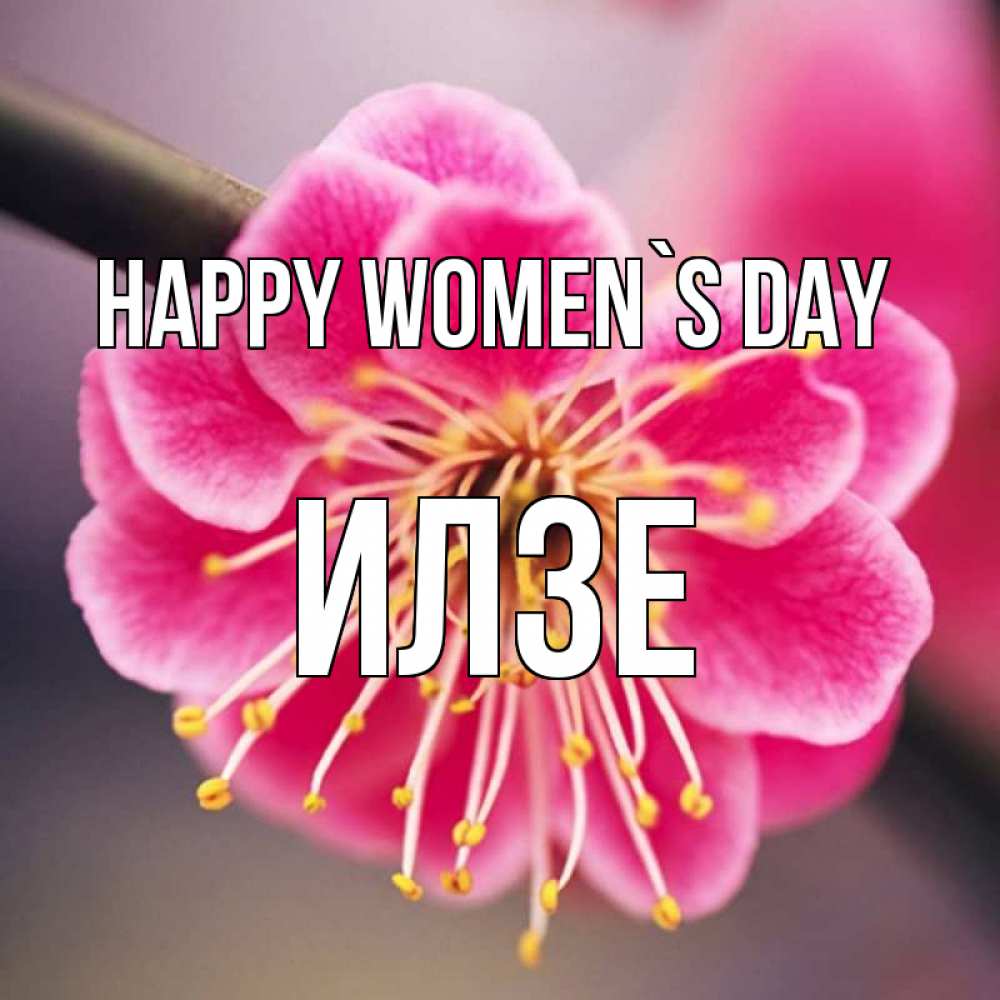 Greetings card с именем, Илзе happy women`s day цветы Greetings with text for free download 